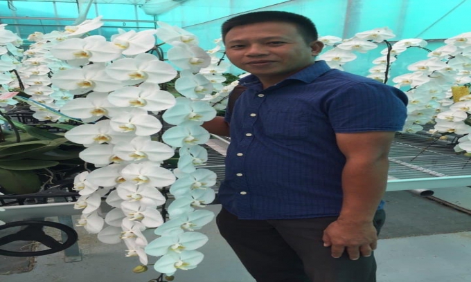 Đỗ Đức Nghĩa hoa lan cây cảnh không bao giờ ngừng đam mê